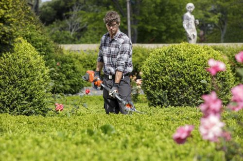 CURA E MANUTENZIONE DEL VERDE